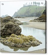 Ecola Tidepool Acrylic Print