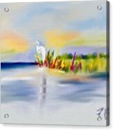 Egret Bliss Acrylic Print