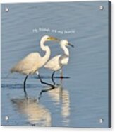 Egrets Say My Friends Are My Family Acrylic Print