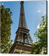 Eiffel Tower Through Trees Acrylic Print