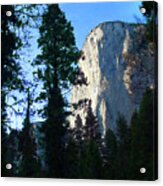 El Capitan From The Forest Floor Acrylic Print