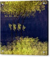 Elegance In The Park Horizontal Adventure Photography By Kaylyn Franks Acrylic Print