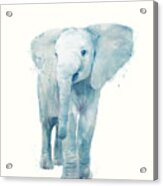 Elephant Acrylic Print