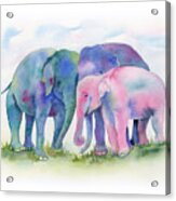Elephant Hug Acrylic Print