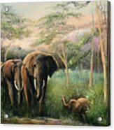 Elephant Walk Acrylic Print
