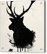 Elk Acrylic Print