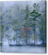 Emerald Lake In Fog Emerald Lake State Acrylic Print
