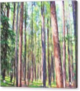 Enchanted Forest Acrylic Print