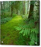 Enchanted Forest Acrylic Print