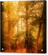Enchanted Path 2 - Allaire State Park Acrylic Print