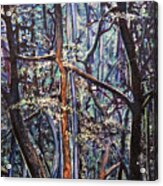 Enchanted Woods Acrylic Print