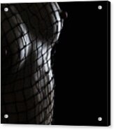 Escaping The Net Acrylic Print