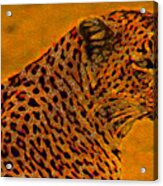 Essence Of Leopard Acrylic Print