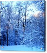 Ethereal Snow Acrylic Print