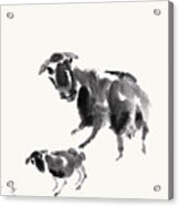 Ewe With Lamb Acrylic Print