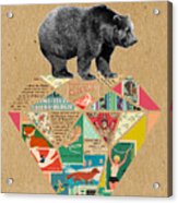 Explore Bear Acrylic Print