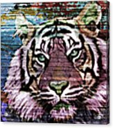 Eyes Of The Tiger Acrylic Print
