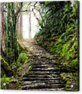 Fairytale Stairs Acrylic Print