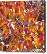 Fall Branches Paint Acrylic Print