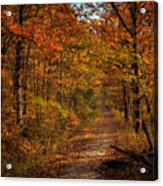 Fall Color At Centerpoint Trailhead Acrylic Print