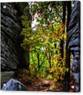 Fall Color Lights Up The Trail Acrylic Print
