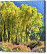 Fall Colors Along Colorado River Near Silt Acrylic Print