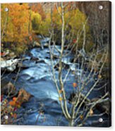 Fall Colors Bishop Creek Acrylic Print