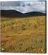 Fall Colors In Tundra Acrylic Print
