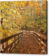 Fall Colors On A Morning Walk In The Woods In Autumn Acrylic Print