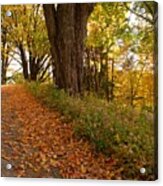 Fall Driveway Acrylic Print