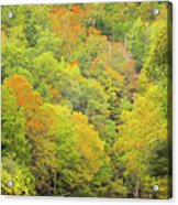 Fall Has Come To The Lower Mountain Fork River Acrylic Print