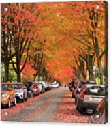Fall In Vancouver 2017 1 Acrylic Print