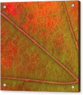 Fall Leaf Jewel Acrylic Print