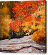 Fall Mountain Foliage Acrylic Print
