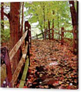 Fall Pathway Acrylic Print
