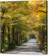 Fall Road At Oak Mountain Acrylic Print