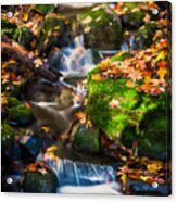 Fall Seasonal Water Cascade Acrylic Print