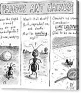 Famous Ant Haikus Acrylic Print