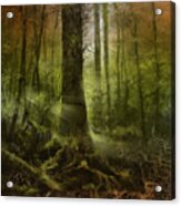 Fantasy Forest 2 3 Acrylic Print