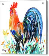 Farm Rooster Acrylic Print