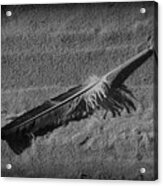 Feather On The Sand Acrylic Print