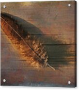 Feather Study On Barnboard Acrylic Print