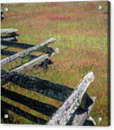 Fence And Field Acrylic Print