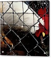 Fenced In Chicken Art By Lesa Fine Acrylic Print