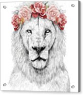 Festival Lion Acrylic Print