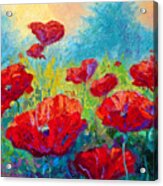 Field Of Red Poppies Acrylic Print