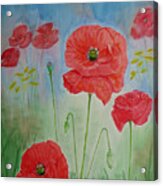 Field Poppies Acrylic Print