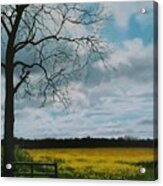 Fields Of Yellow Acrylic Print