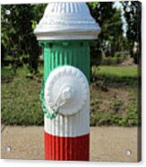 Fire Hydrant On The Hill In St. Louis, Missouri Acrylic Print
