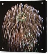 Fireworks 004 Acrylic Print